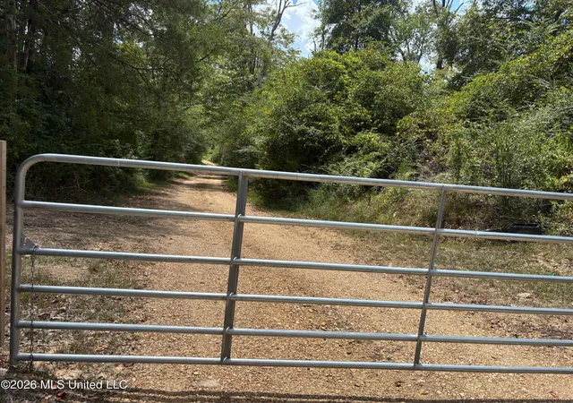 Photo 4 of Land for sale at Ms 556, Meadville, MS 39653 | MLS# 4159629 | Listing updated on 2026-08-19