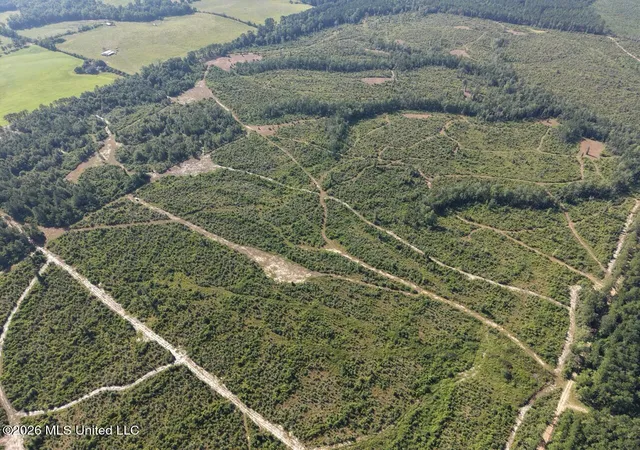 Photo 3 of Land for sale at 1 Dewitt Ln, Bogalusa, LA 70427 | MLS# 4159666 | Listing updated on 2026-08-19