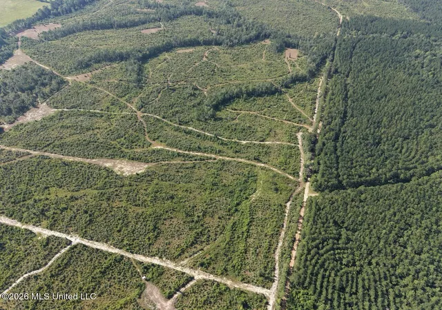 Photo 3 of Land for sale at 1 Dewitt Ln, Bogalusa, LA 70427 | MLS# 4159666 | Listing updated on 2026-08-19