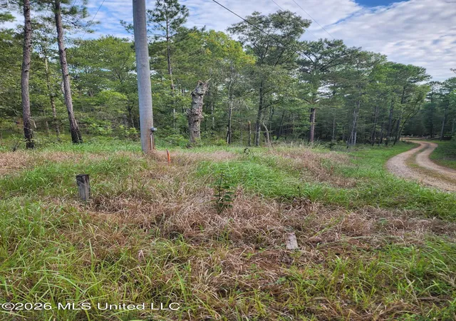 Photo 1 of Sale Pending at Dogwood Ln, Poplarville, MS 39470 | MLS# 4159818 | Listing updated on 2026-08-25