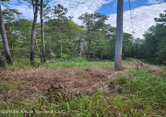 Photo 3 of Sale Pending at Dogwood Ln, Poplarville, MS 39470 | MLS# 4159818 | Listing updated on 2026-08-25
