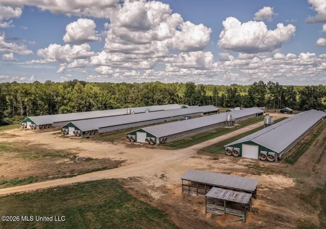 Photo 1 of Sale Pending at 133 G W Smith Rd, Silver Creek, MS 39663 | MLS# 4160047 | Listing updated on 2026-08-21