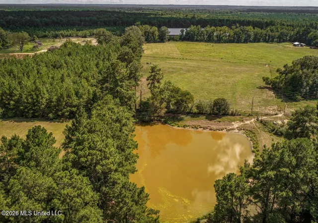 Photo 48 of Sale Pending at 133 G W Smith Rd, Silver Creek, MS 39663 | MLS# 4160047 | Listing updated on 2026-08-21