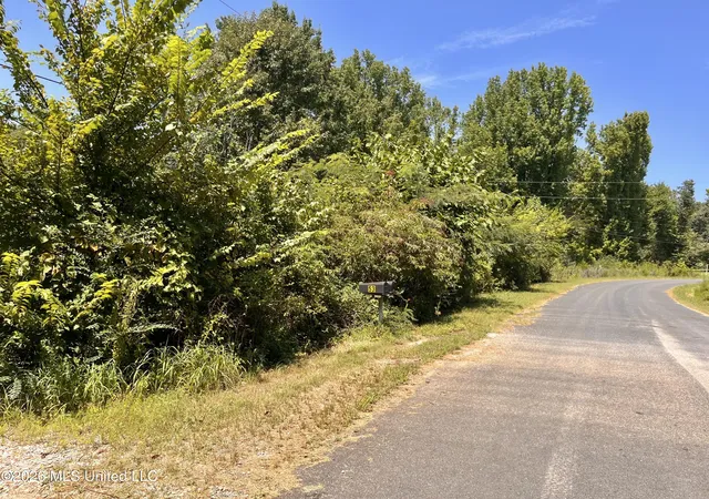 Photo 1 of Land for sale at 77 Lenzi Rd, Byhalia, MS 38611 | MLS# 4159774 | Listing updated on 2026-09-01