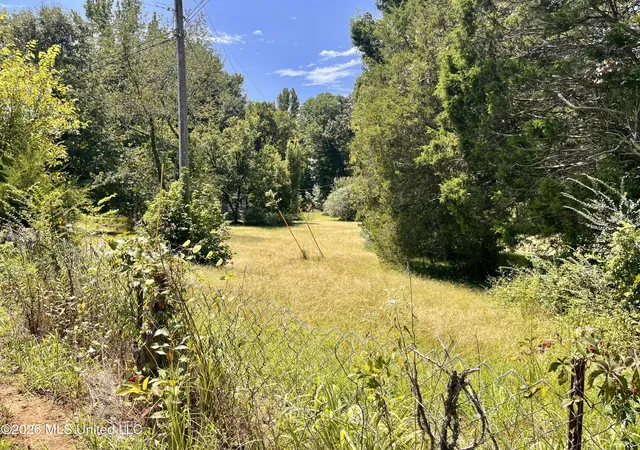 Photo 3 of Land for sale at 77 Lenzi Rd, Byhalia, MS 38611 | MLS# 4159774 | Listing updated on 2026-09-01