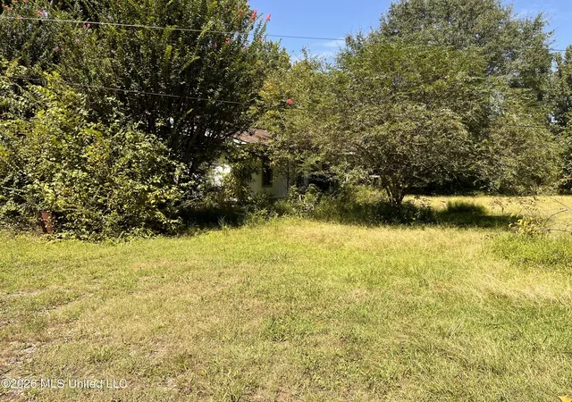 Photo 4 of Land for sale at 77 Lenzi Rd, Byhalia, MS 38611 | MLS# 4159774 | Listing updated on 2026-09-01