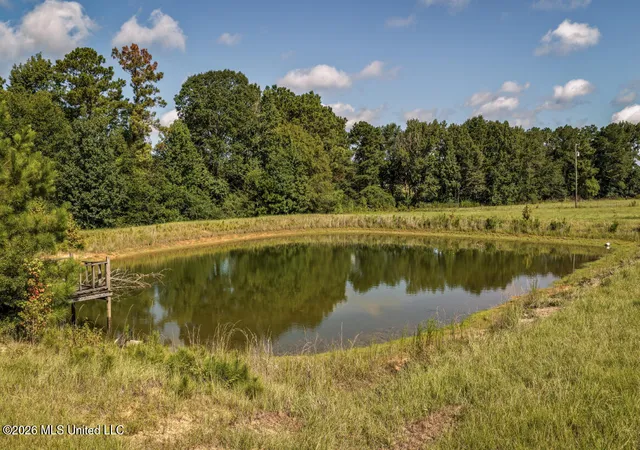 Photo 3 of Land for sale at 2498 Hilton Ln, Smithdale, MS 39664 | MLS# 4159674 | Listing updated on 2026-08-19