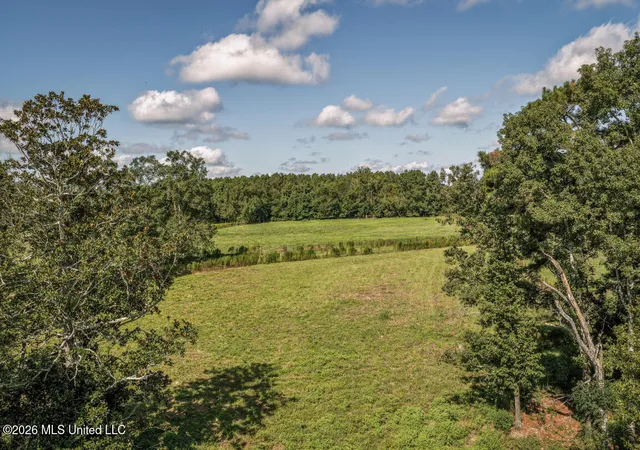 Photo 3 of Land for sale at 2498 Hilton Ln, Smithdale, MS 39664 | MLS# 4159674 | Listing updated on 2026-08-19