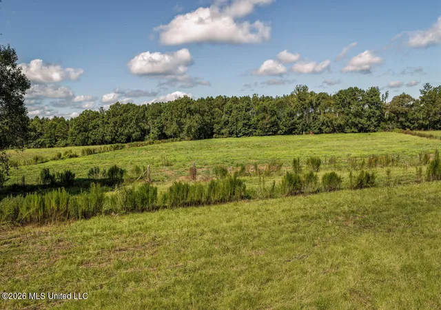Photo 4 of Land for sale at 2498 Hilton Ln, Smithdale, MS 39664 | MLS# 4159674 | Listing updated on 2026-08-19