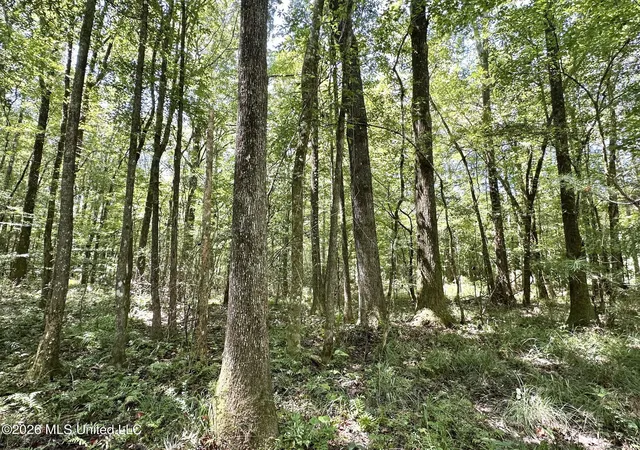 Photo 1 of Sale Pending at 1 County Rd 24, Enterprise, MS 39330 | MLS# 4159684 | Listing updated on 2026-09-04