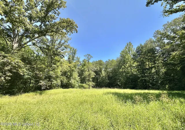 Photo 3 of Sale Pending at 1 County Rd 24, Enterprise, MS 39330 | MLS# 4159684 | Listing updated on 2026-09-04