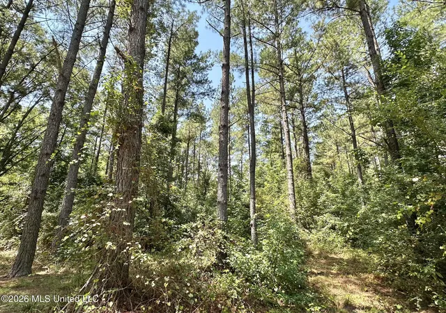 Photo 4 of Sale Pending at 1 County Rd 24, Enterprise, MS 39330 | MLS# 4159684 | Listing updated on 2026-09-04