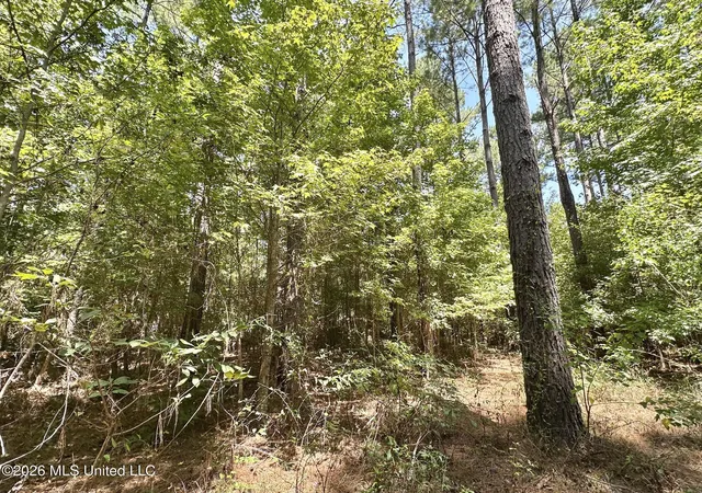 Photo 2 of Land for sale at 2 County Rd 24, Enterprise, MS 39330 | MLS# 4159692 | Listing updated on 2026-08-19