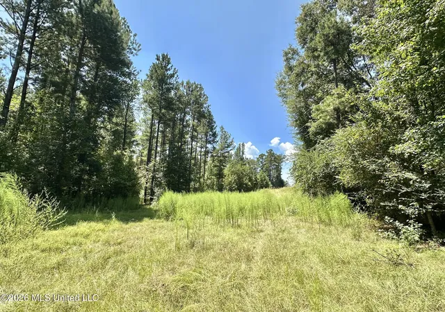 Photo 3 of Land for sale at 2 County Rd 24, Enterprise, MS 39330 | MLS# 4159692 | Listing updated on 2026-08-19