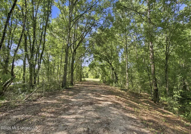 1st image of Nhn Cody Goldman Rd, Lucedale, MS 39452 | MLS# 4160143