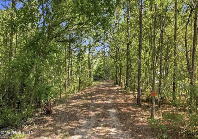 2nd image of Nhn Cody Goldman Rd, Lucedale, MS 39452 | MLS# 4160143