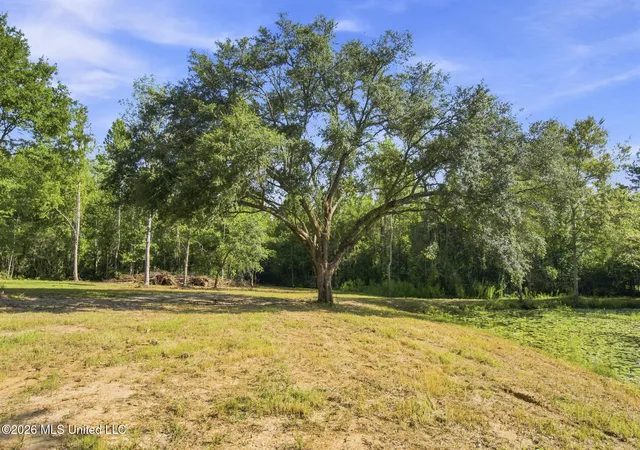 Photo 3 of Land for sale at Nhn Cody Goldman Rd, Lucedale, MS 39452 | MLS# 4160143 | Listing updated on 2026-08-24