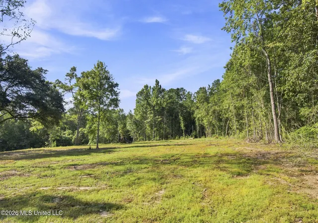Photo 3 of Land for sale at Nhn Cody Goldman Rd, Lucedale, MS 39452 | MLS# 4160143 | Listing updated on 2026-08-24
