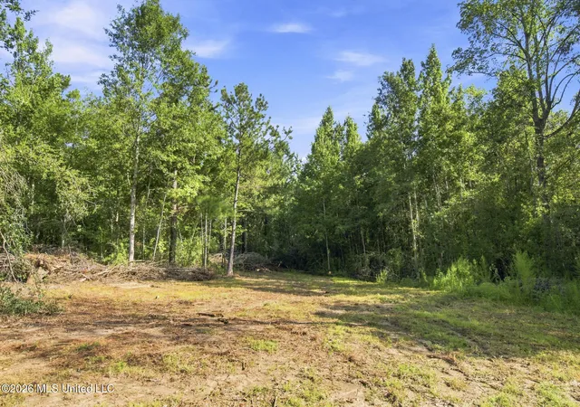 Photo 4 of Land for sale at Nhn Cody Goldman Rd, Lucedale, MS 39452 | MLS# 4160143 | Listing updated on 2026-08-24