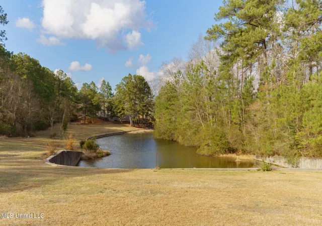 Photo 3 of Land for sale at 0 Waterford And 40th Pl, Hattiesburg, MS 39402 | MLS# 4159708 | Listing updated on 2026-08-19