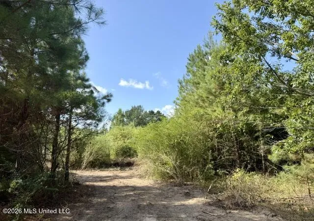 Photo 1 of Land for sale at Robert Bateman Rd, Franklinton, LA 70438 | MLS# 4159715 | Listing updated on 2026-08-19