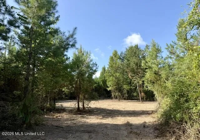Photo 2 of Land for sale at Robert Bateman Rd, Franklinton, LA 70438 | MLS# 4159715 | Listing updated on 2026-08-19