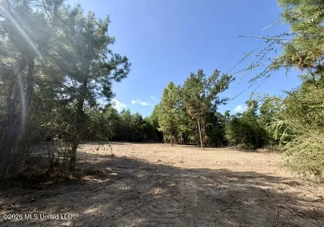 Photo 3 of Land for sale at Robert Bateman Rd, Franklinton, LA 70438 | MLS# 4159715 | Listing updated on 2026-08-19