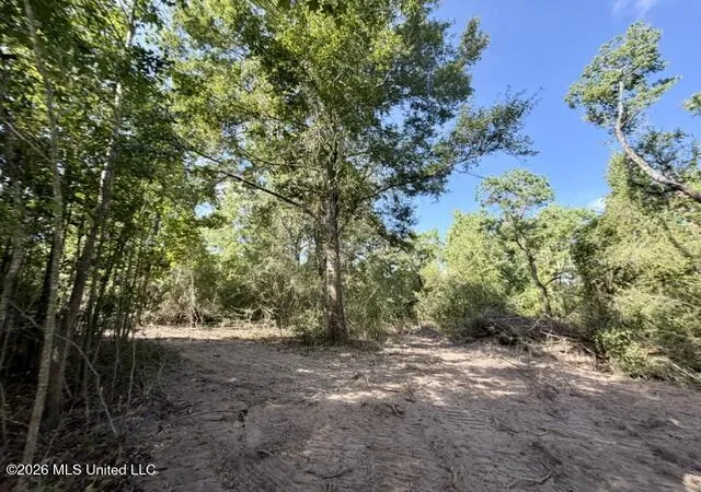 Photo 3 of Land for sale at Robert Bateman Rd, Franklinton, LA 70438 | MLS# 4159715 | Listing updated on 2026-08-19