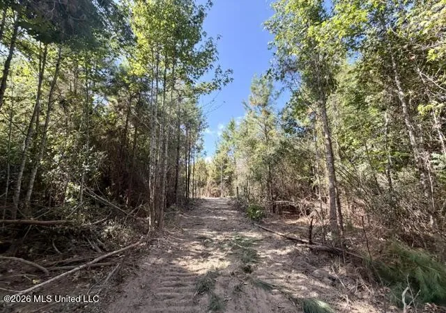 Photo 4 of Land for sale at Robert Bateman Rd, Franklinton, LA 70438 | MLS# 4159715 | Listing updated on 2026-08-19