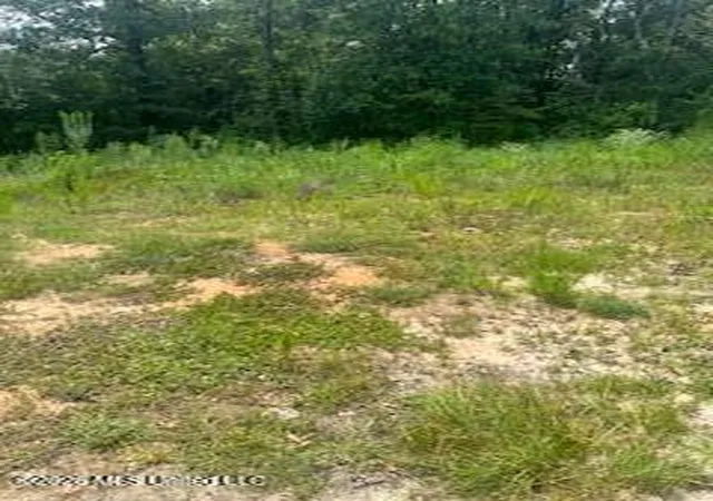 5th image of 189 Walter Havard Rd, Lucedale, MS 39452 | MLS# 4159912