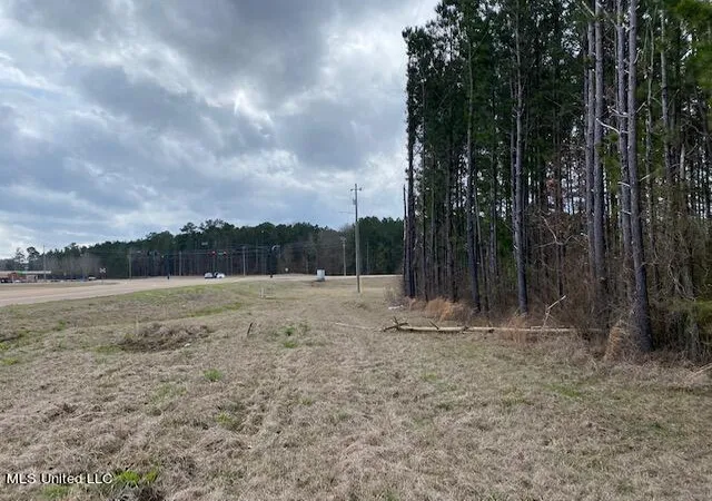 Photo 3 of Land for sale at 0 S College St, Brandon, MS 39042 | MLS# 4159809 | Listing updated on 2026-08-20