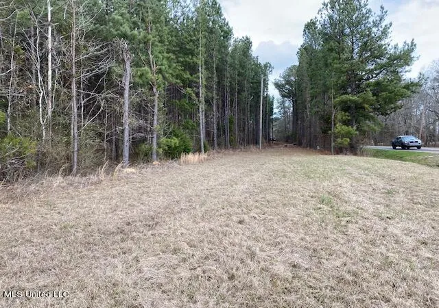 Photo 3 of Land for sale at 0 S College St, Brandon, MS 39042 | MLS# 4159809 | Listing updated on 2026-08-20
