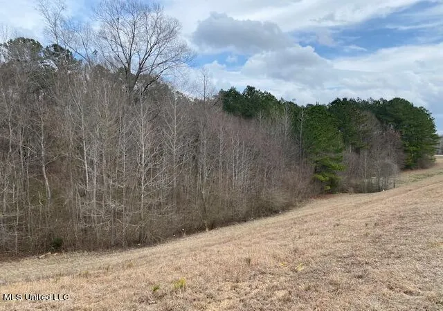Photo 4 of Land for sale at 0 S College St, Brandon, MS 39042 | MLS# 4159809 | Listing updated on 2026-08-20