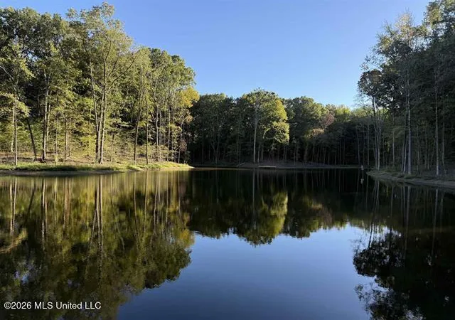 Land for sale at 9171 Collierville Arlington Rd, Arlington, TN 38002 | MLS# 4159760