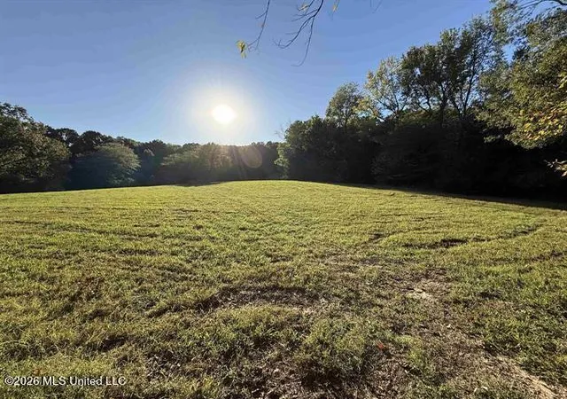 Photo 3 of Land for sale at 9171 Collierville Arlington Rd, Arlington, TN 38002 | MLS# 4159760 | Listing updated on 2026-08-20