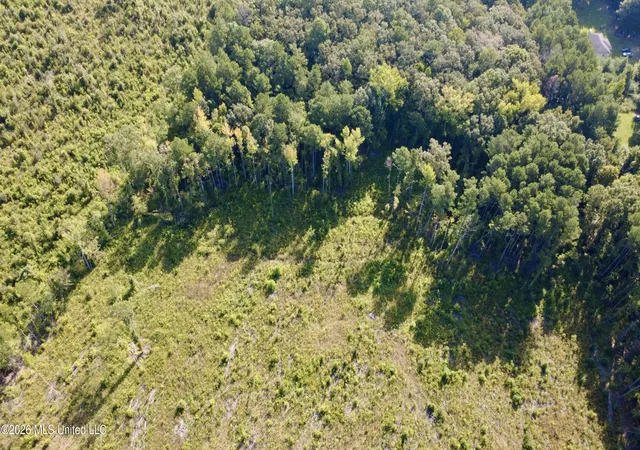 Photo 4 of Sale Pending at Terry Rd, Kosciusko, MS 39090 | MLS# 4160372 | Listing updated on 2026-09-01
