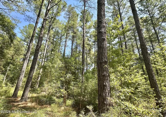 Photo 1 of Land for sale at 3 County Rd 24, Enterprise, MS 39330 | MLS# 4159785 | Listing updated on 2026-08-20