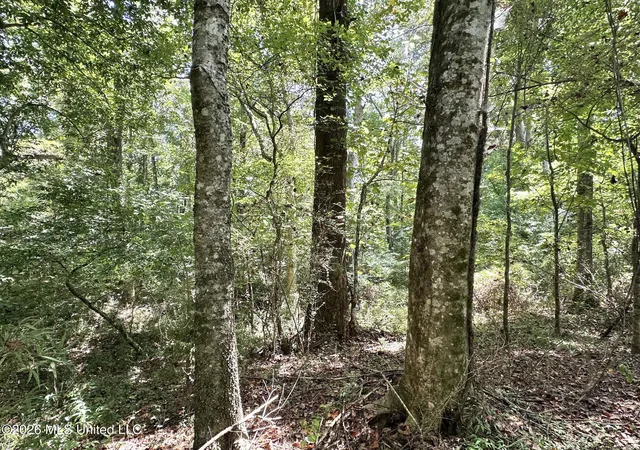Photo 2 of Land for sale at 3 County Rd 24, Enterprise, MS 39330 | MLS# 4159785 | Listing updated on 2026-08-20