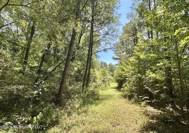 Photo 3 of Land for sale at 3 County Rd 24, Enterprise, MS 39330 | MLS# 4159785 | Listing updated on 2026-08-20