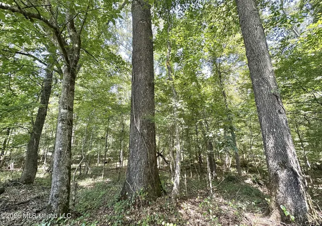Photo 3 of Land for sale at 3 County Rd 24, Enterprise, MS 39330 | MLS# 4159785 | Listing updated on 2026-08-20