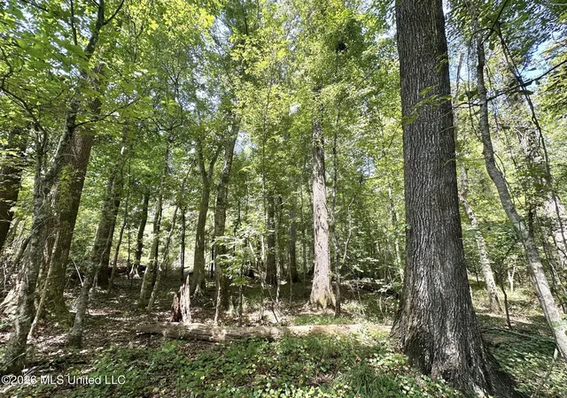 Photo 4 of Land for sale at 3 County Rd 24, Enterprise, MS 39330 | MLS# 4159785 | Listing updated on 2026-08-20
