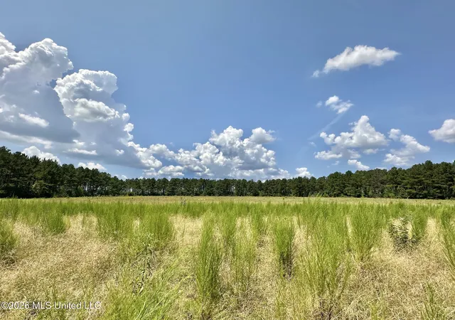 Photo 1 of Land for sale at 4 County Rd 24, Enterprise, MS 39330 | MLS# 4159786 | Listing updated on 2026-08-20