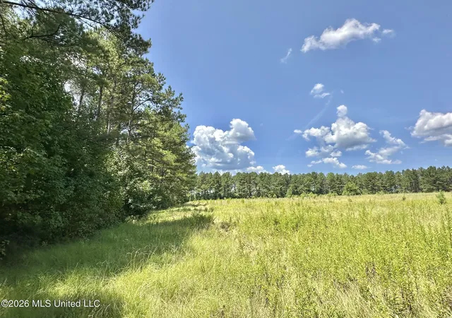 Photo 2 of Land for sale at 4 County Rd 24, Enterprise, MS 39330 | MLS# 4159786 | Listing updated on 2026-08-20
