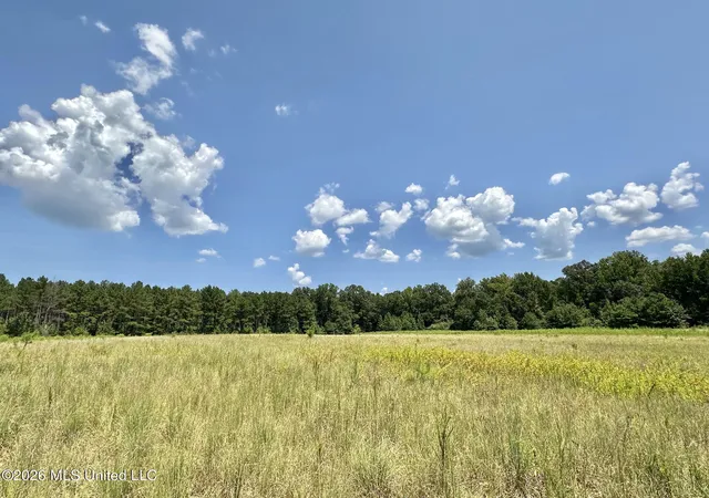 Photo 3 of Land for sale at 4 County Rd 24, Enterprise, MS 39330 | MLS# 4159786 | Listing updated on 2026-08-20