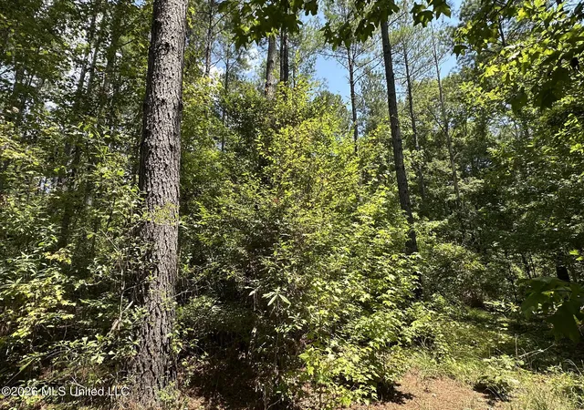 Photo 3 of Sale Pending at 4 County Rd 24, Enterprise, MS 39330 | MLS# 4159786 | Listing updated on 2026-10-14