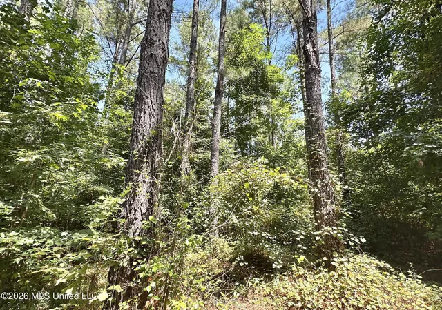 Photo 1 of Land for sale at 5 County Rd 24, Enterprise, MS 39330 | MLS# 4159788 | Listing updated on 2026-08-20