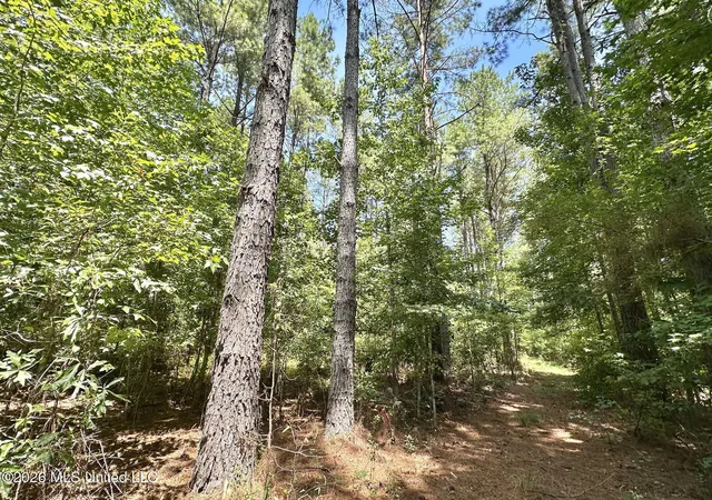 Photo 2 of Land for sale at 5 County Rd 24, Enterprise, MS 39330 | MLS# 4159788 | Listing updated on 2026-08-20