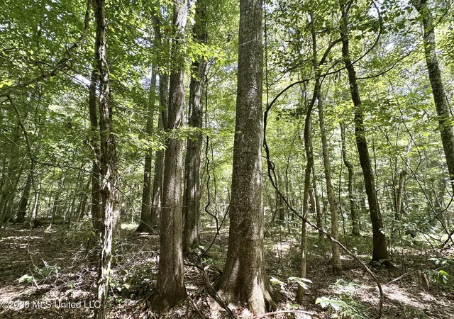 Photo 3 of Land for sale at 5 County Rd 24, Enterprise, MS 39330 | MLS# 4159788 | Listing updated on 2026-08-20