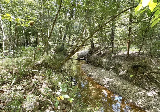 Photo 4 of Land for sale at 5 County Rd 24, Enterprise, MS 39330 | MLS# 4159788 | Listing updated on 2026-08-20