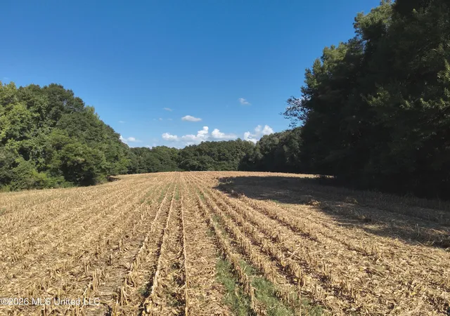 1st image of 1650 Linwood Rd, Vaughan, MS 39179 | MLS# 4159827